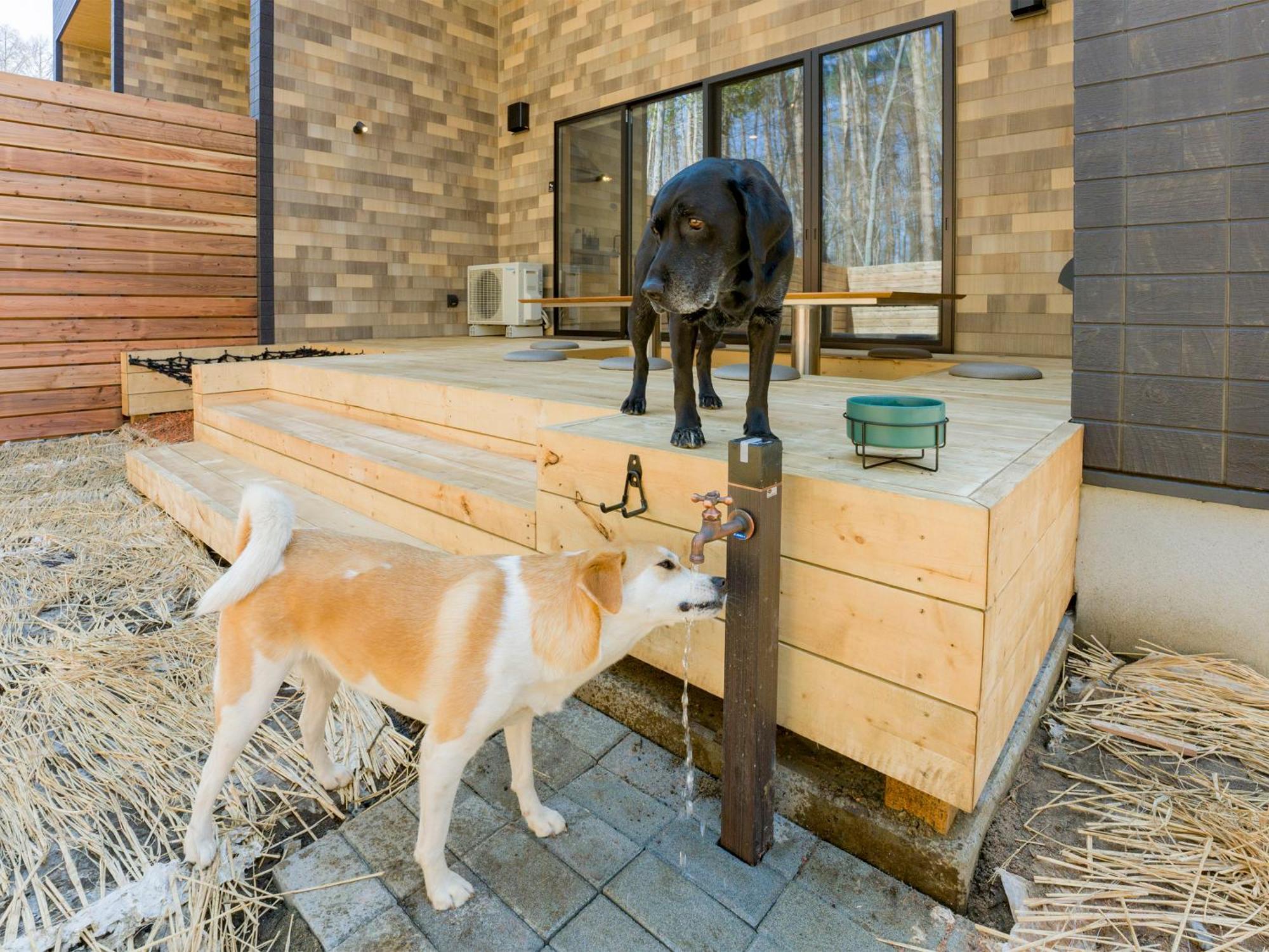 Rakuten Stay Villa Fujikawaguchiko Forest المظهر الخارجي الصورة