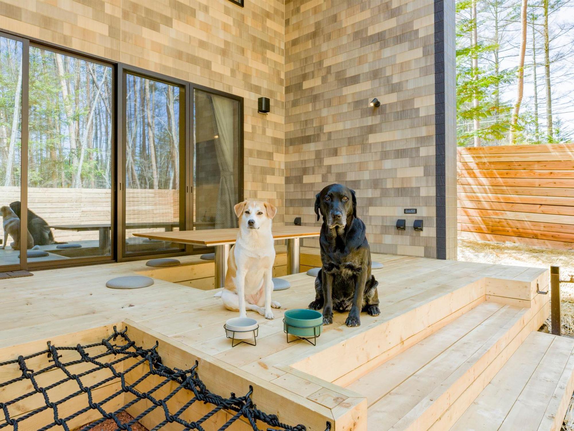 Rakuten Stay Villa Fujikawaguchiko Forest المظهر الخارجي الصورة